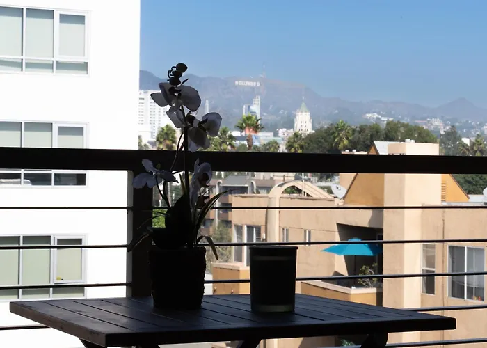 One Bedroom Apartment With View