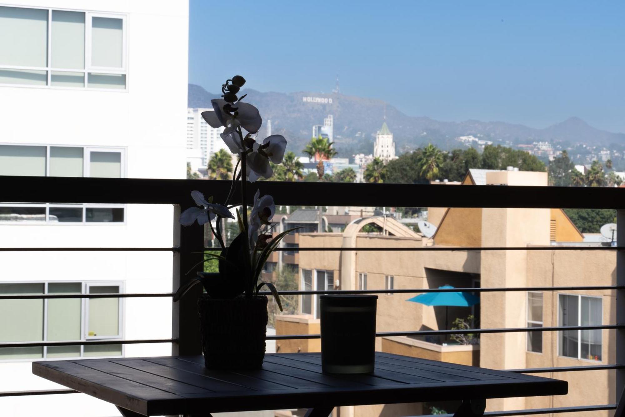 One Bedroom With View Apartment Los Angeles